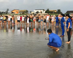 Soltura de filhotes de tartarugas marinhas em praia de Luís Correia