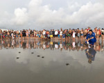 Soltura de filhotes de tartarugas marinhas em praia de Luís Correia