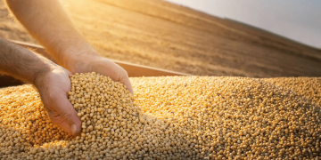 Piauí bate recorde e alcança a marca de R$ 8,186 bilhões em exportações em 2023