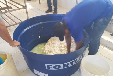 Fábrica é multada em R$ 20 mil no Norte do Piauí por produzir queijo em manilhas e baldes