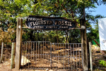 Entrada da Floresta Fóssil