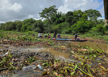Com acúmulo de aguapés, pescadores fazem limpeza por conta própria em Teresina; Veja vídeo