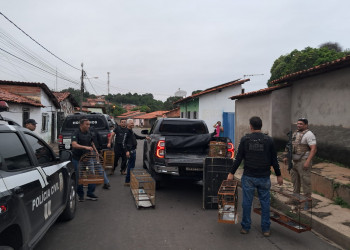 Trio é preso com drogas, armas e dinheiro durante operação contra o tráfico em Timon