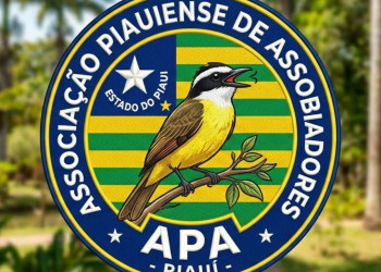 Estudante cria grupo piauiense de 'assobiadores' e reune mais de mil pessoas