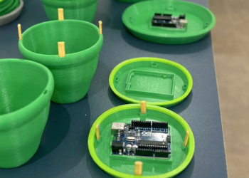 Startup do Tocantins desenvolve armadilha de controle biológico do mosquito da dengue