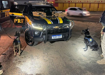 Adolescente de 16 anos é presa com duas malas contendo 33 kg de maconha em Teresina