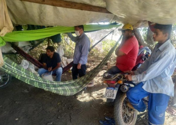 Em seis anos 500 pessoas foram resgatadas de trabalho escravo no Piauí