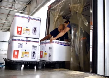 Vacina para gestantes contra bronquiolite em bebês chega ao SUS a partir desta quarta (3)