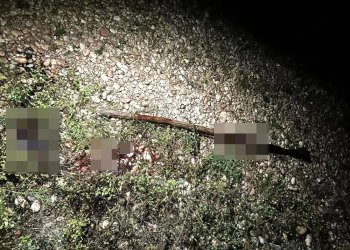 Preso suspeito de matar a irmã a facadas e manter mãe idosa em cárcere privado em Amarante