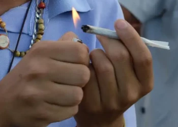 CCJ aprova proibição do uso de maconha em ambientes coletivos no Piauí