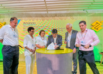 Nordeste quer atrair novas indústrias com energia limpa e gerar empregos verdes