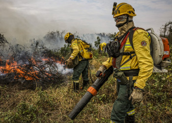 Governo do Piauí  seleciona  consultores especializados em combate a incêndio