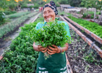 Programas sociais retiram 459 mil piauienses da extrema pobreza em 2024, revela IBGE