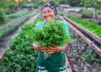 Renda domiciliar per capita cresce 14,5% no Piauí