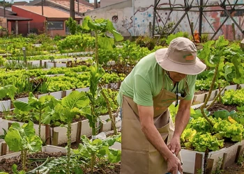 Projeto cria microclimas para hortas de Teresina e vence maratona de inovação