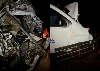 Animal na pista provoca acidente com ambulância com 4 pacientes indo para Teresina