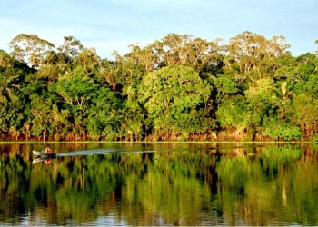 Brasil possui maior reservatório de água doce do mundo, capaz de abastecer toda humanidade