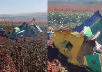Aviões da Esquadrilha da Fumaça colidem no ar e um deles cai em São Paulo; veja o vídeo