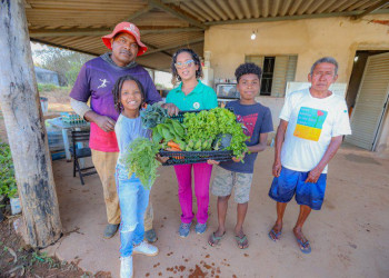 Piauí recebe R$ 1,3 milhão para compra de alimentos da agricultura familiar