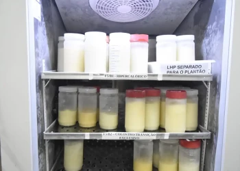 Banco de Leite da Nova Maternidade Evangelina Rosa emite alerta sobre queda no estoque