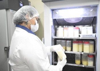 Veja funcionamento da Nova Maternidade e do Banco de Leite no Carnaval