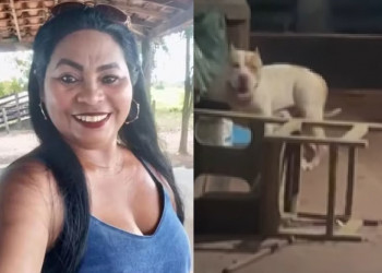 Pitbull ataca e mata tutora dentro de casa na zona rural de Bacabal, no Maranhão