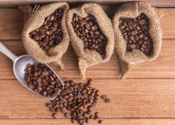 Saiba quais produtos devem ficar mais caros nos EUA com tarifa de Trump ao Brasil