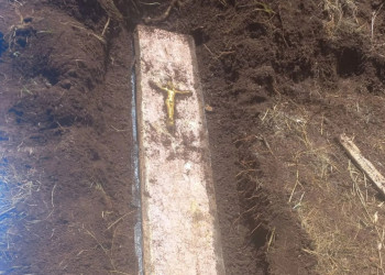 Caixão com ossada humana é encontrado em quintal de casa em Santa Catarina