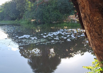 Caminhão com veneno tomba em balneário no Piauí; motorista morre e local é interditado