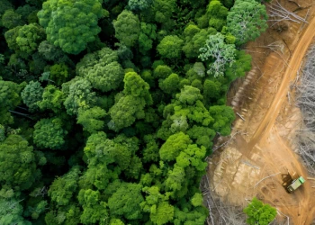 Lula sanciona Lei Geral do Licenciamento Ambiental com 63 vetos e mantém proteção a biomas
