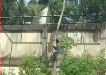 Homem é morto por leoa após entrar em jaula em zoológico de João Pessoa