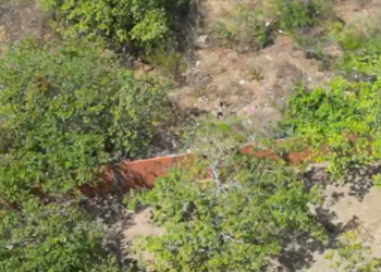 Drone flagra tentativa de fuga de suspeitos de comandar acampamento do tráfico em Parnaíba