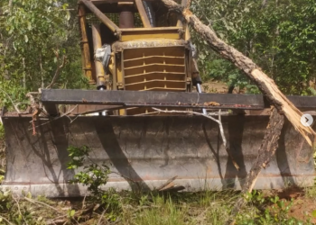 Grileiros invadem comunidade em Gilbués e destroem fontes de água no Cerrado piauiense