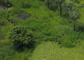 Homem tenta fugir por lagoa e é preso com drogas e armas no litoral; veja o vídeo