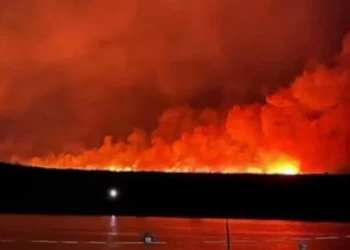 ​​Prefeito pede apoio aéreo para ajudar a combater incêndio devastador em Pavussu