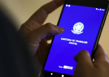 Com alta em todos os setores, Piauí fecha outubro com saldo positivo de empregos