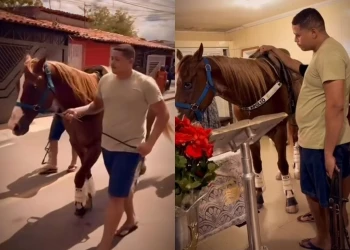 Cavalo de Robin da Carne  vai ao velório e comove amigos e familiares