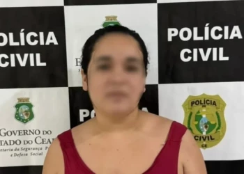 Ex-funcionária de concessionária é presa por aplicar golpes em 40 clientes em Parnaíba