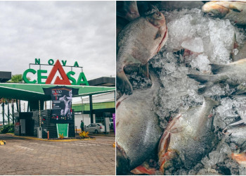 Semana Santa aquece vendas na Ceasa e aumenta procura por peixes e hortaliças