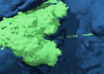 Vídeo mostra células cancerígenas fugindo do sistema imunológico e como câncer avança