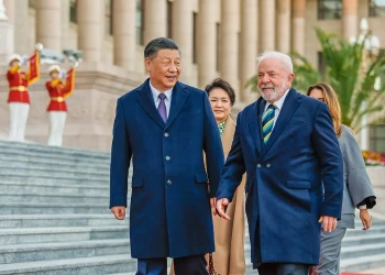 China sinaliza apoio a fundo florestal global proposto pelo Brasil