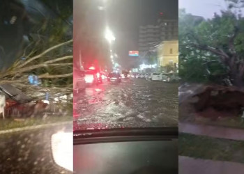 ​Chuva intensa causa alagamentos e queda de árvores em Teresina