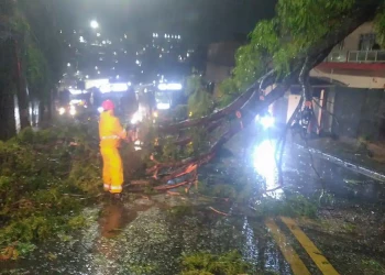 Ciclone deixa 1,5 milhão de clientes sem energia na Grande São Paulo