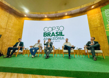 Fonteles na COP30 aborda transição energética, hidrogênio verde e nova industrialização
