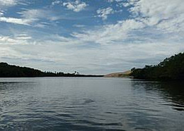 Vamos pensar nos peixes?