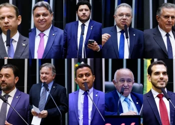 Confira o voto da bancada piauiense nos vetos de Lula ao Licenciamento Ambiental