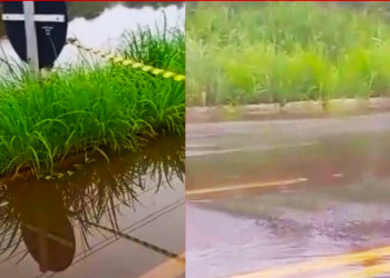 Água do Rio Gurgueia invade BR-135 no Sul do Piauí; vídeo