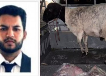 Advogado é preso suspeito de roubar ovelhas no Piauí; irmão dele é investigado por golpes