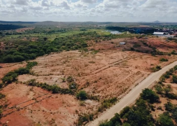Avanço de quase 10% do desmatamento na Caatinga expõe pressão sobre o semiárido