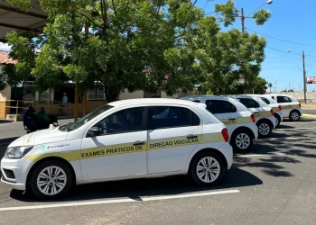 Detran-PI abre seletivo com 30 vagas para instrutor de trânsito; salário é de R$ 2,5 mil